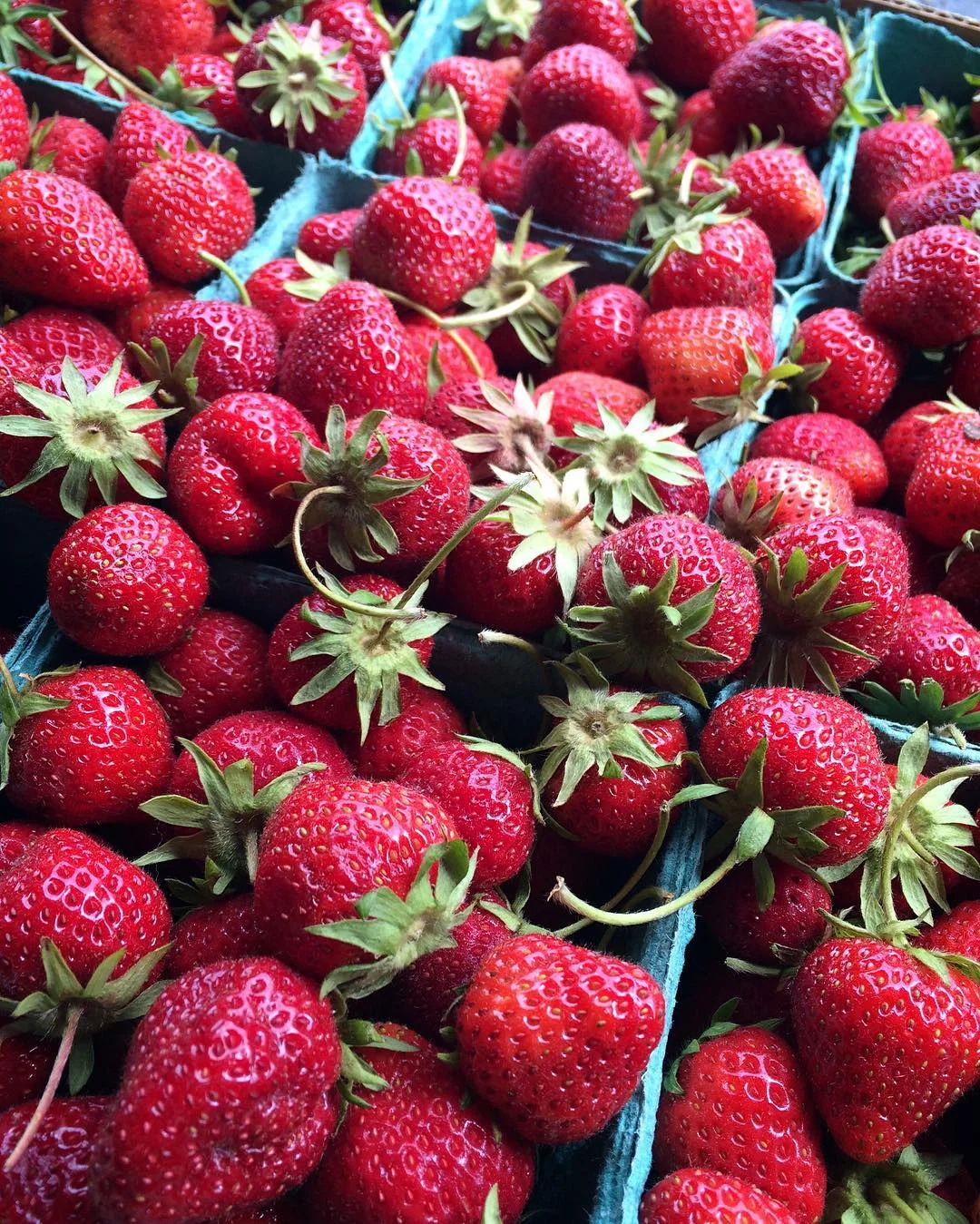 freshstrawberrypie2016-05.jpg