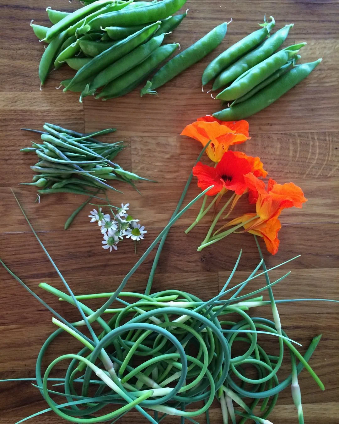 storinggardenpeas2016-02.jpg