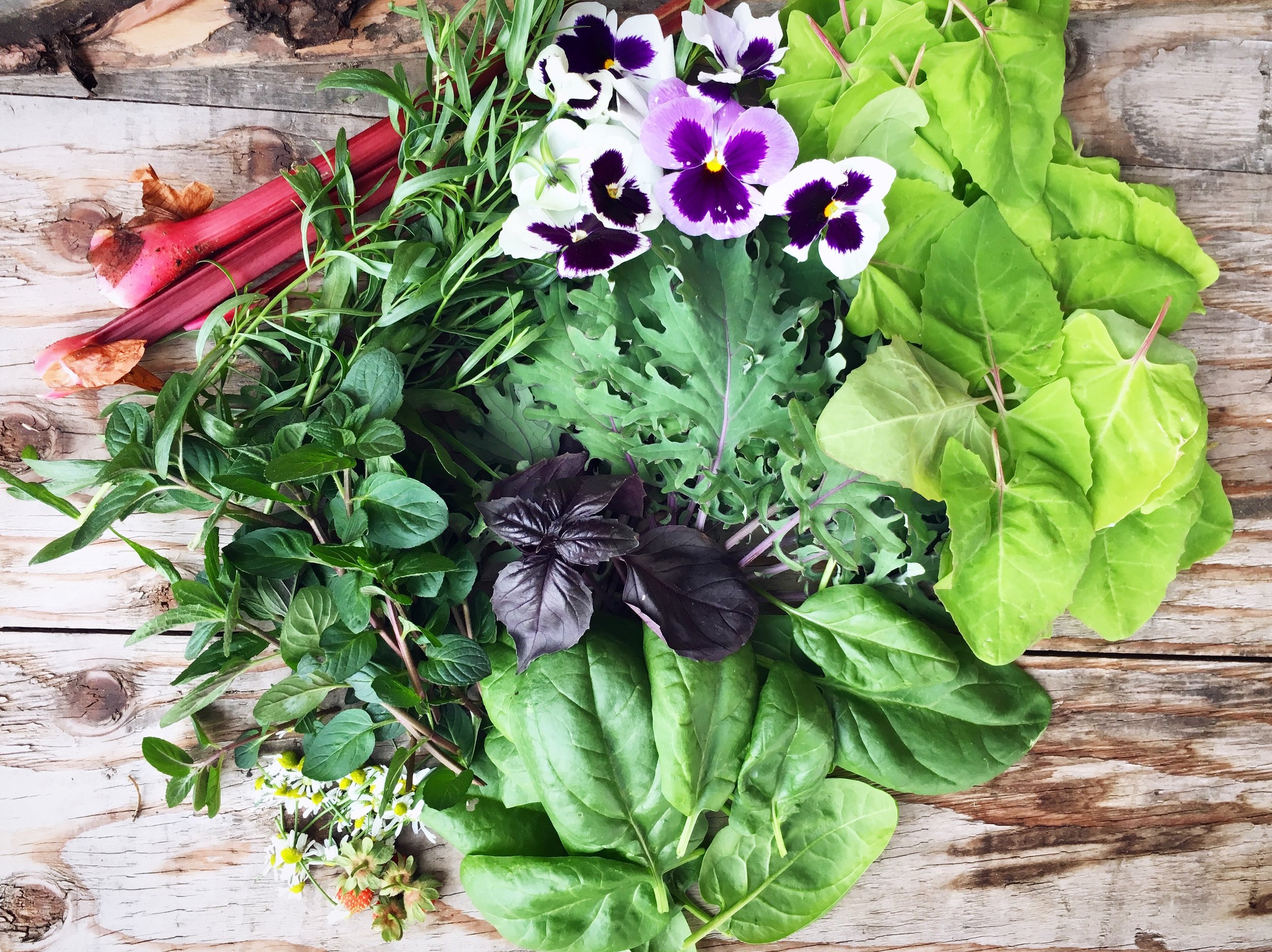 One of my springtime harvests from last year. Lots of leafy greens!