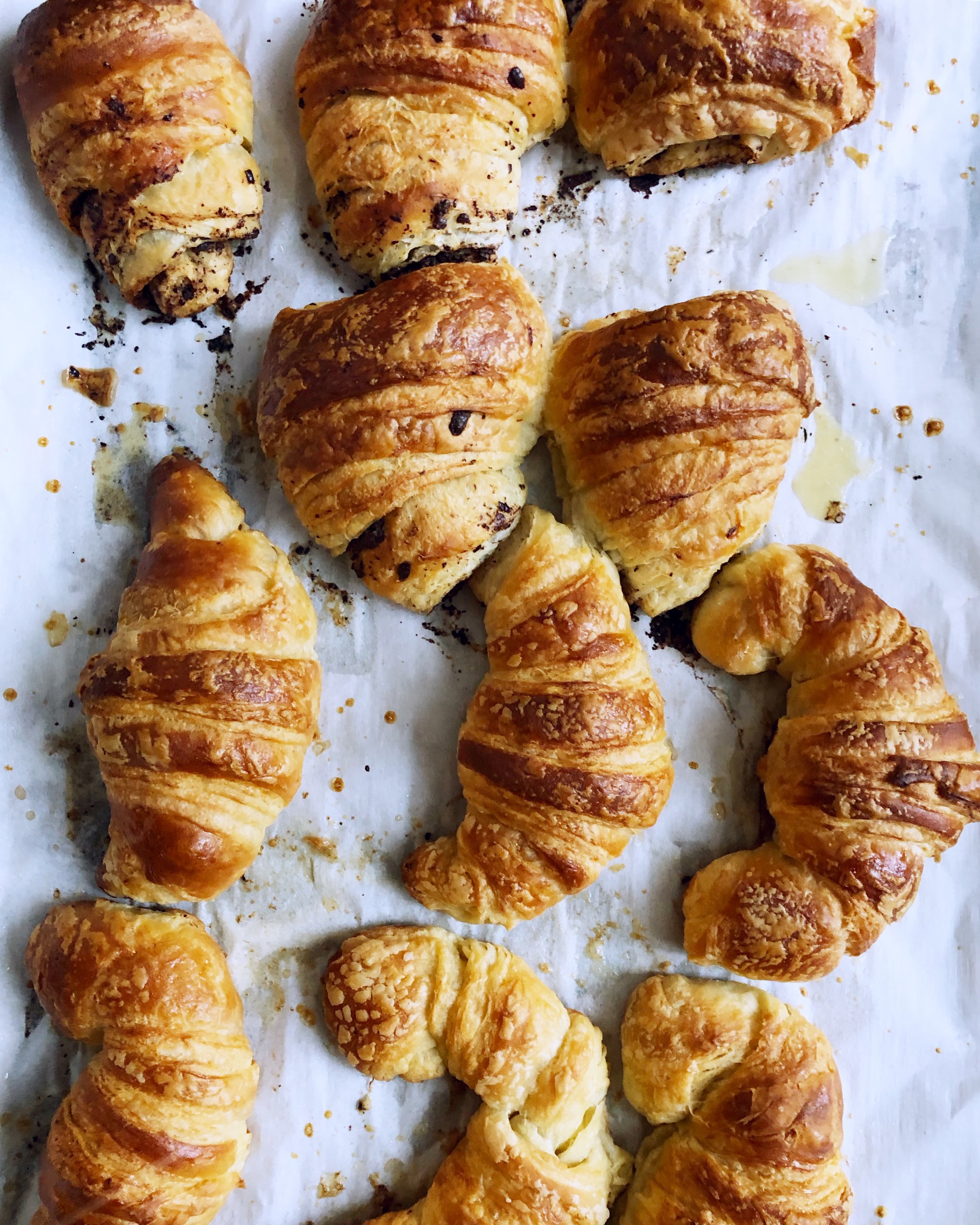 I was pretty happy with my batch of croissants!