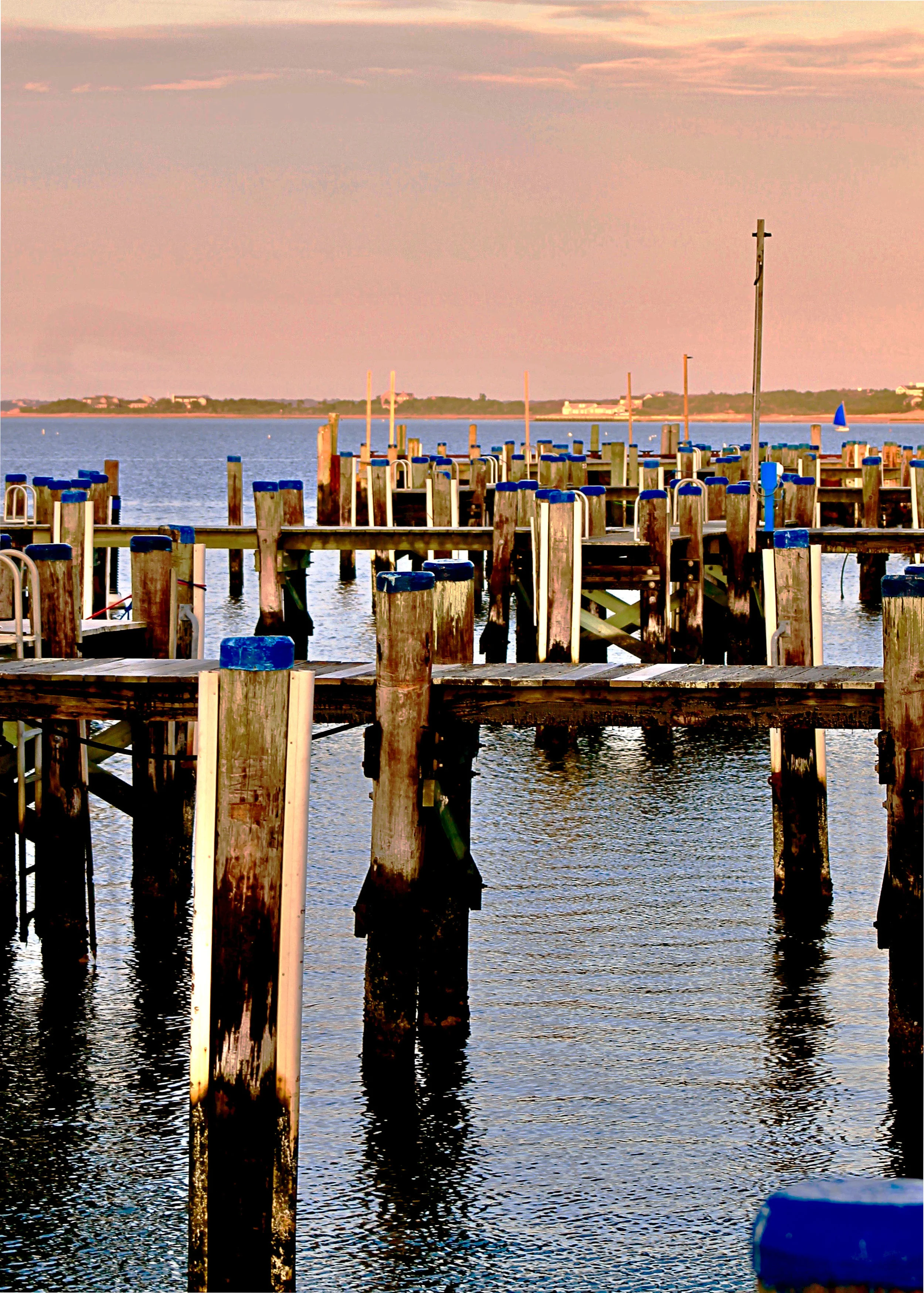 ReineSloanNantucketDockBlueTips.jpg
