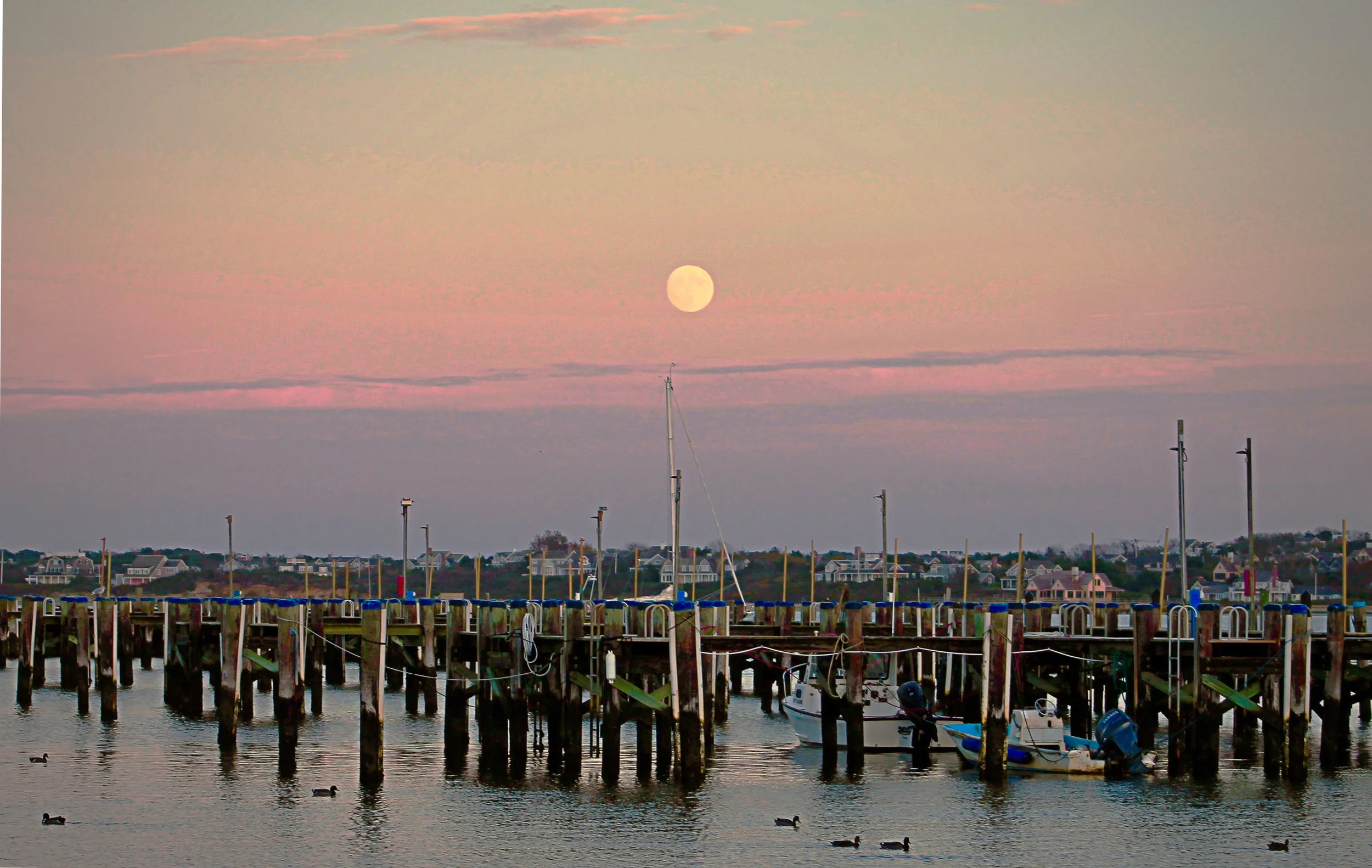 ReineSloanNantucketHarborSunset.jpg