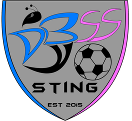 DBSS Sting Soccer Club