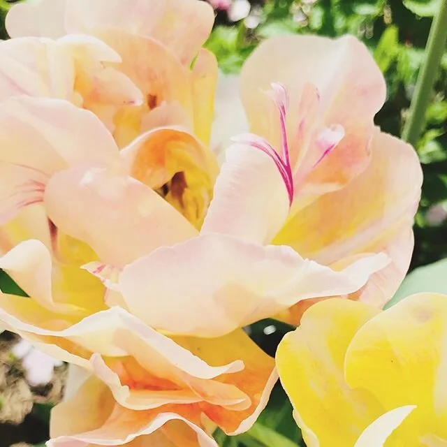 Happy day of rest! Remember even God rested on the seventh day after creating heaven and earth, haha I wonder how he enjoyed his day? 
Here is a practical rule for Sunday&rsquo;s ~ don&rsquo;t do anything that feels like work unless you absolutely ha