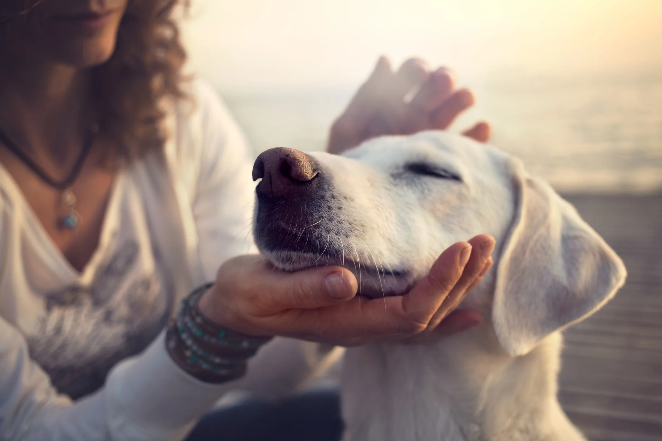 Photo by fcscafeine/iStock / Getty Images