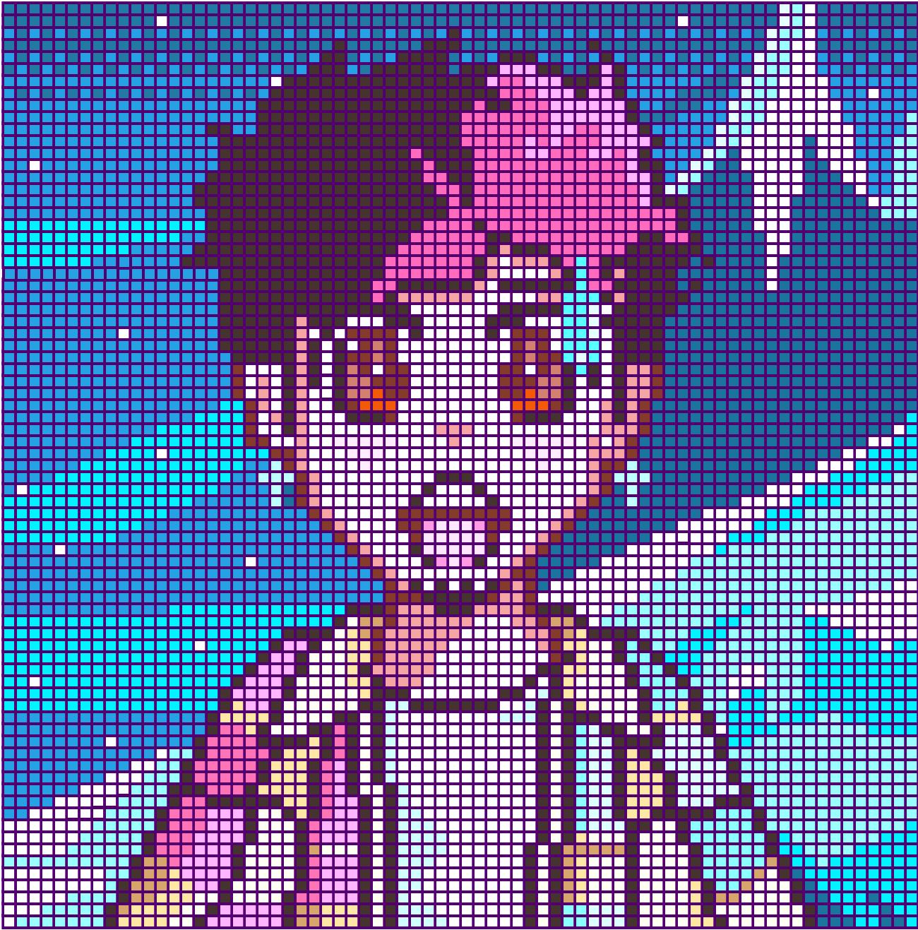 LIL XXEL