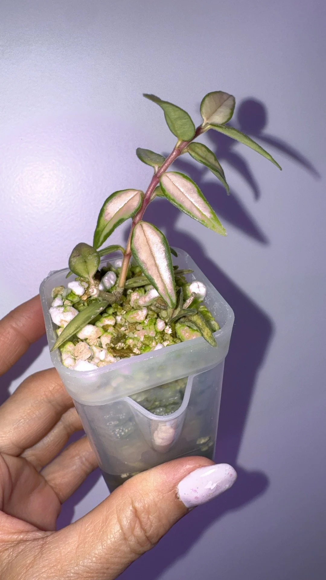 IMG_0813.jpeg