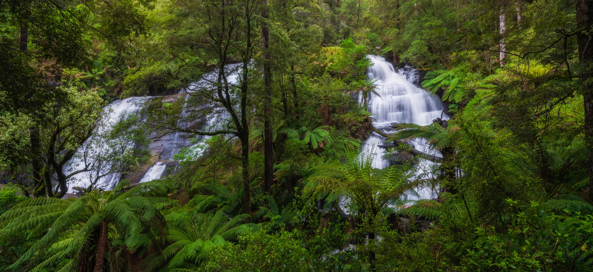 Top Lookout: Triplet Falls - Nikon D800 @ ISO 100 | f/16 | 17mm | 1/4 sec