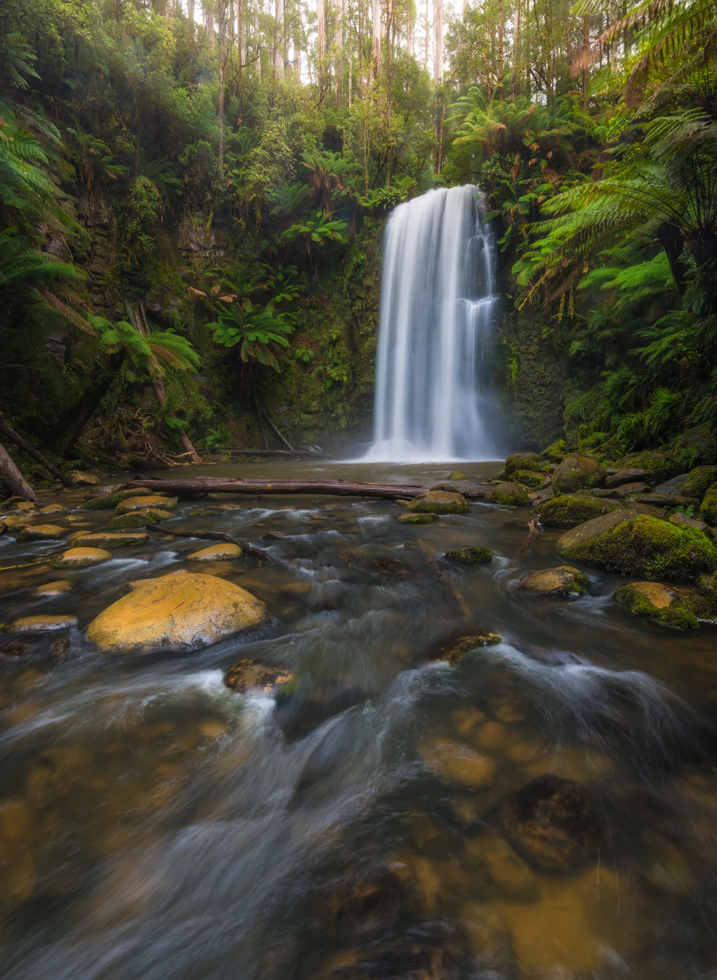 Chasing Waterfalls in the Otways
