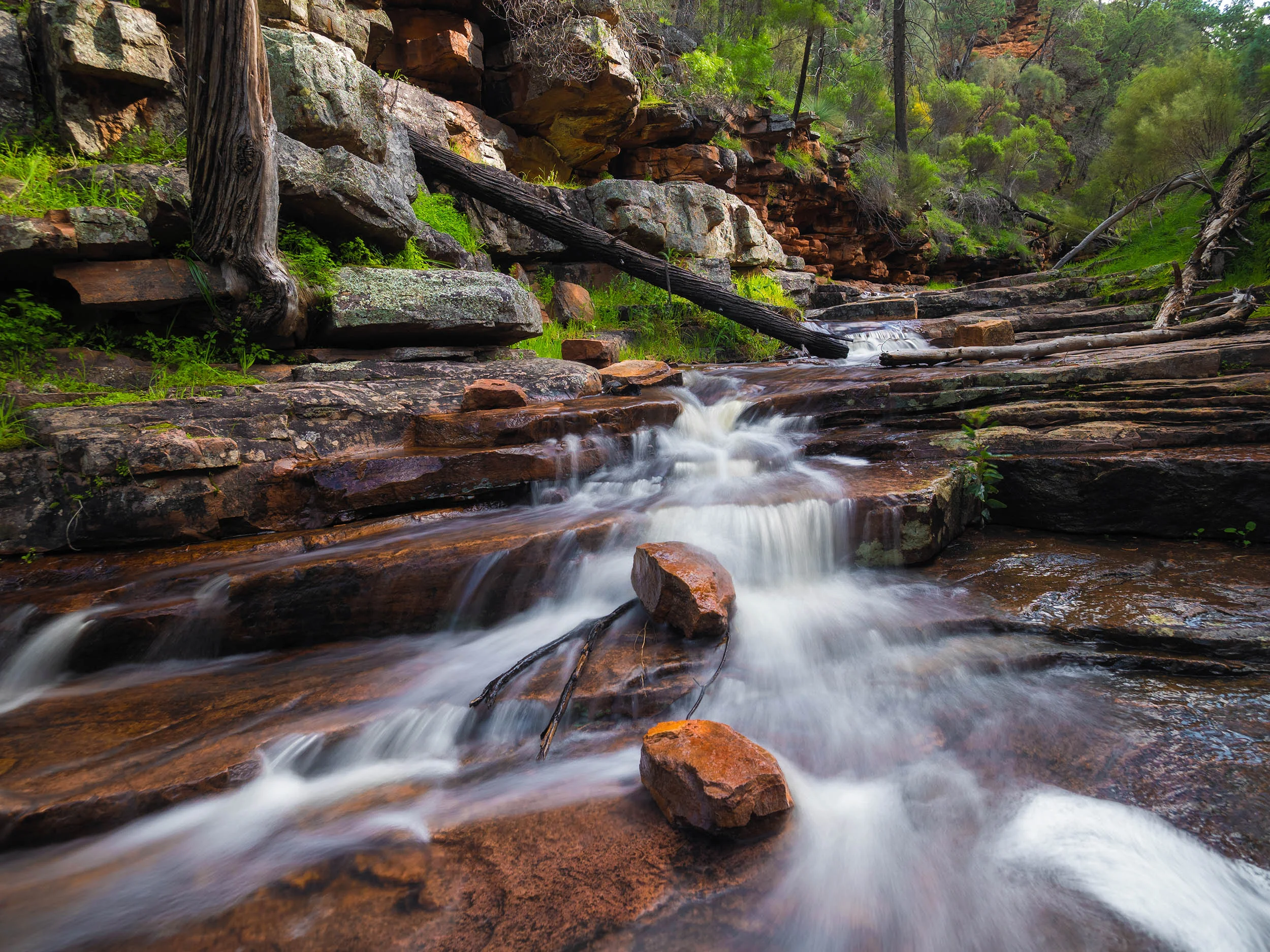 The Terraces - Alligator Gorge, Mount Remarkable National Park - South Australia