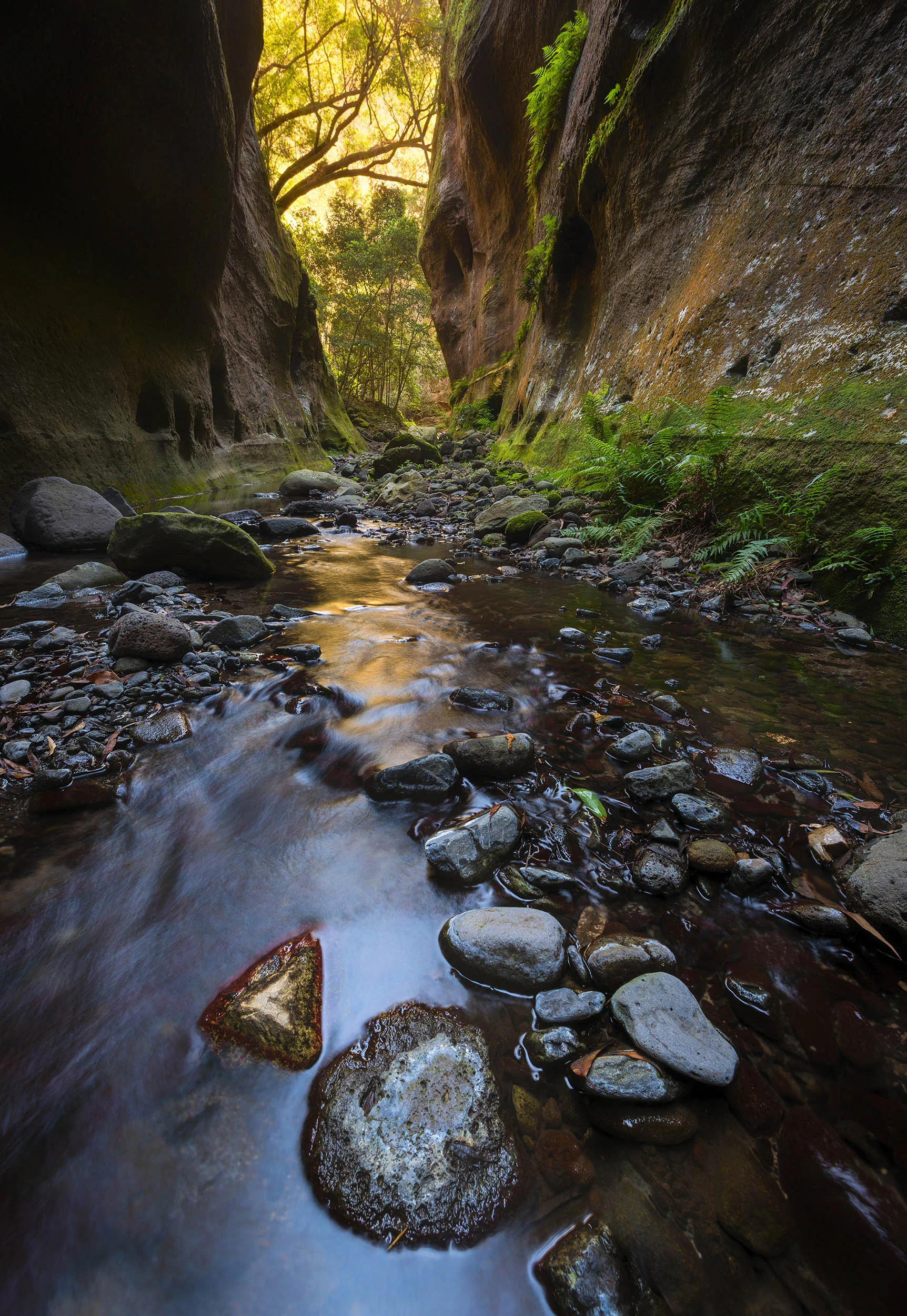The Lost World - Carnarvon Gorge, Queensland