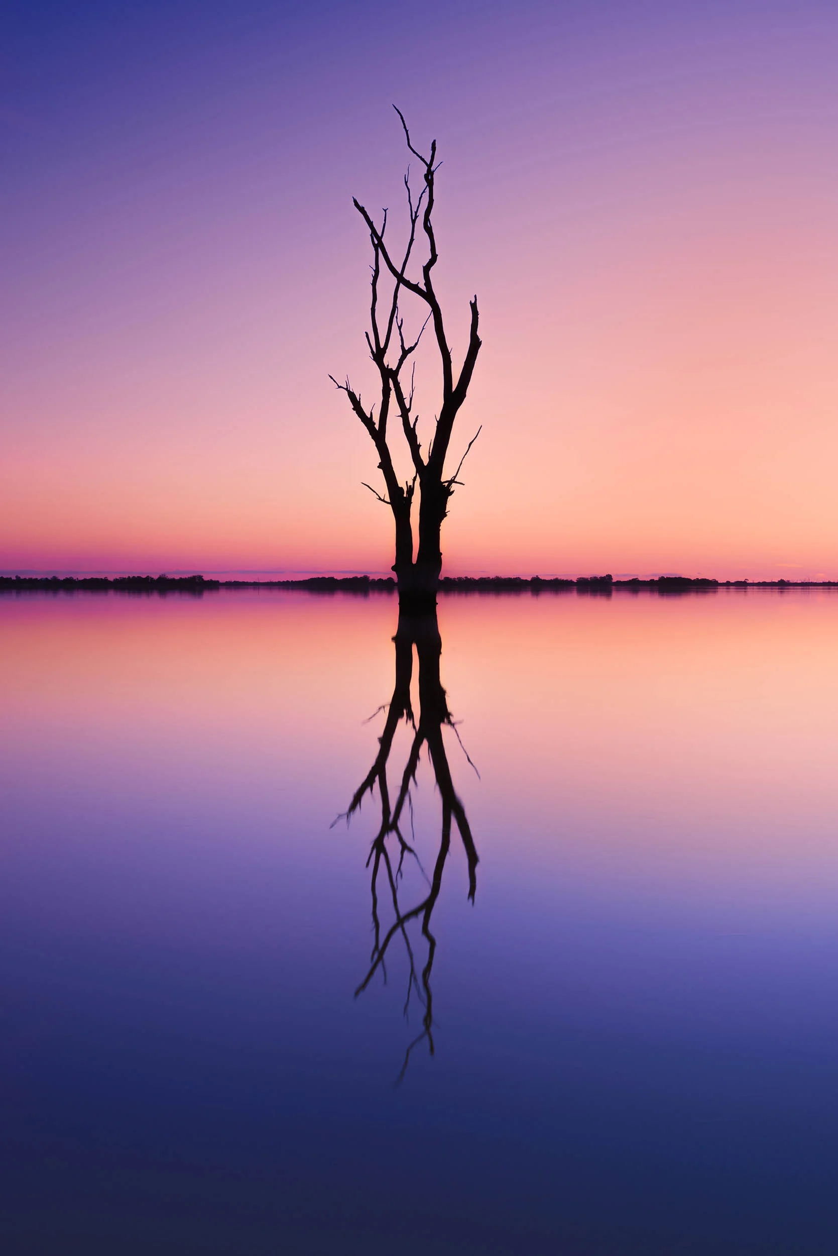 Behind the Image - Infinity Pool