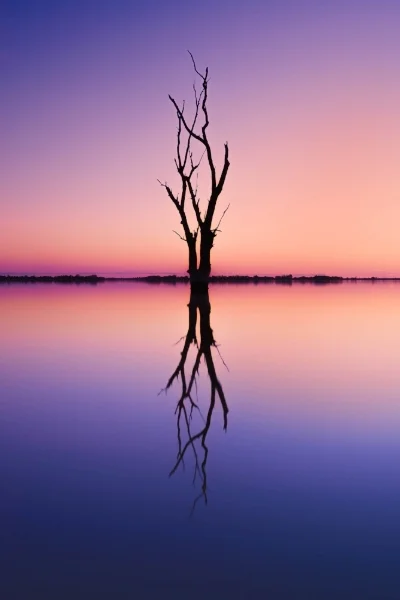 DSC_4972-Edit.jpg