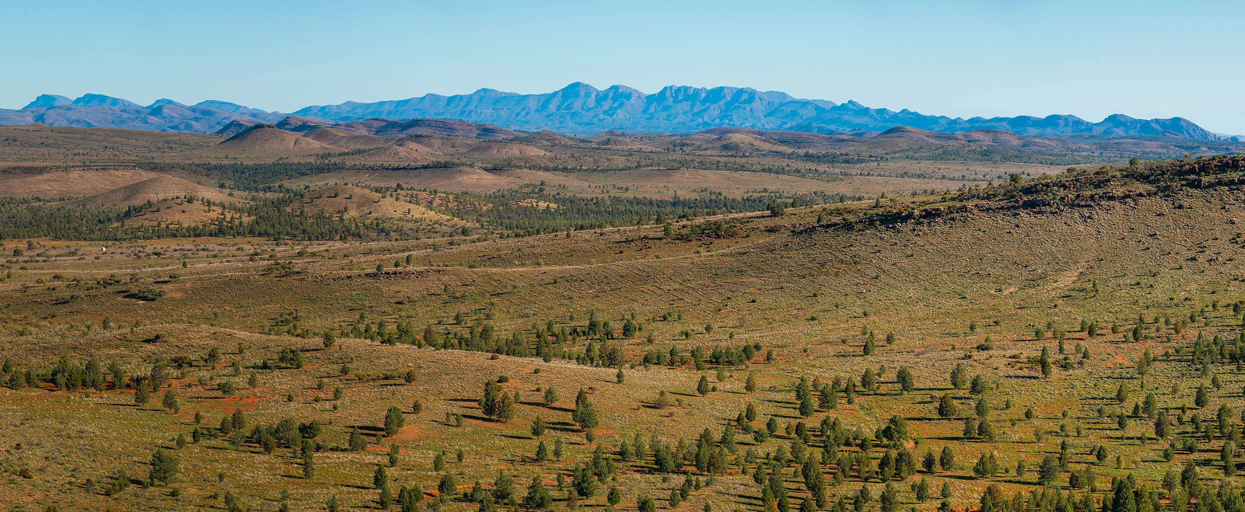 Soul of the Land - Wilpena Pound, Flinders Ranges - South Australia