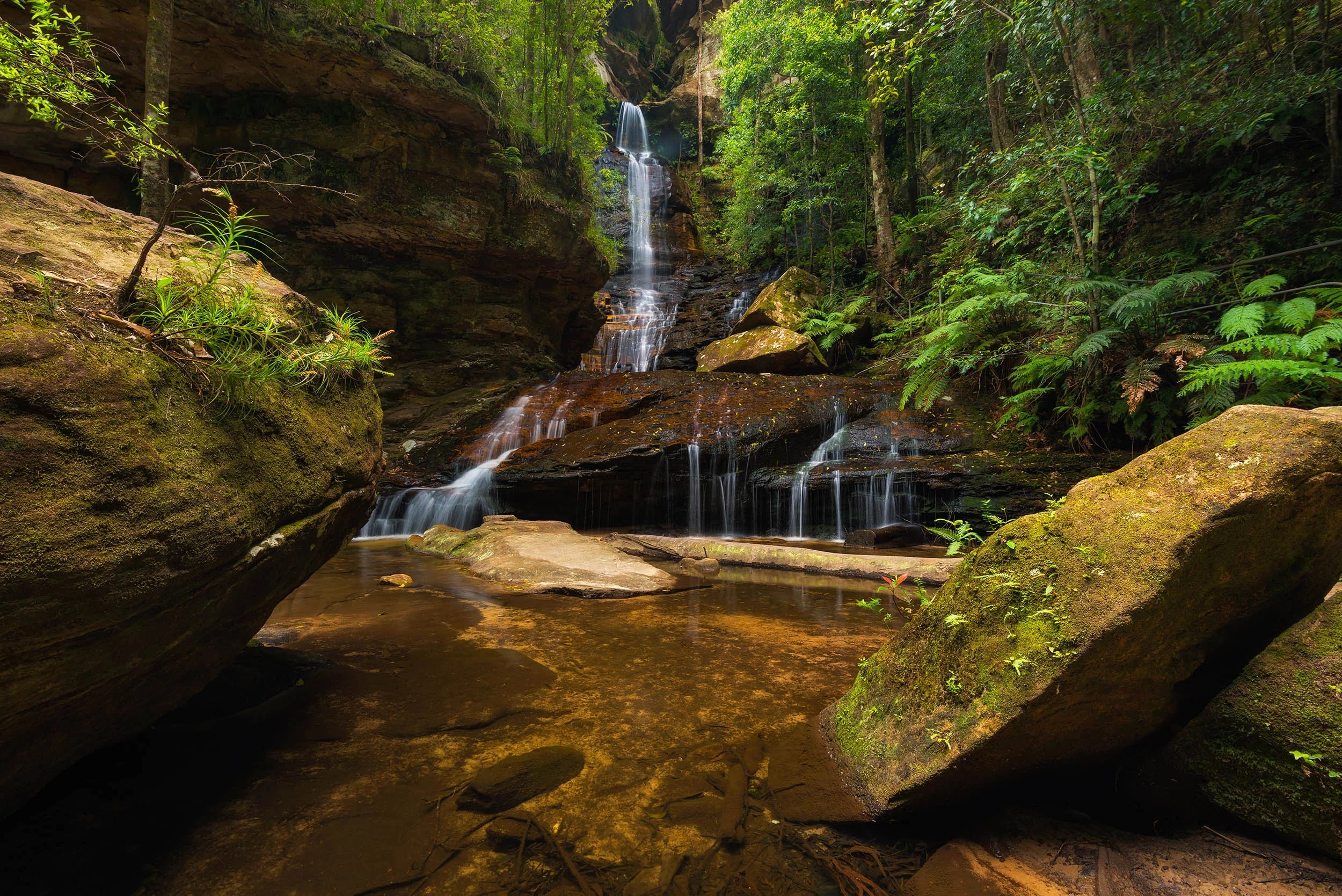 Forest Dreams - Empress Falls, Blue Mountains - New South Wales