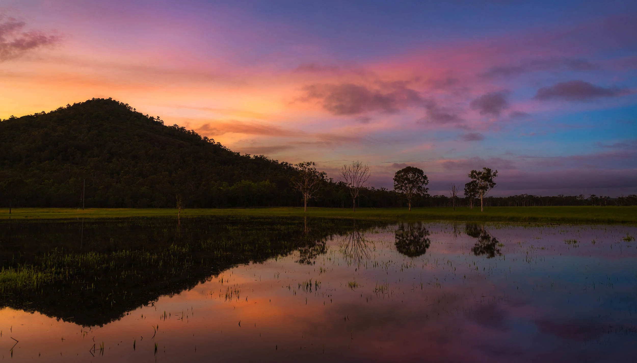 Unexpected - Hedlow Creek, Queensland