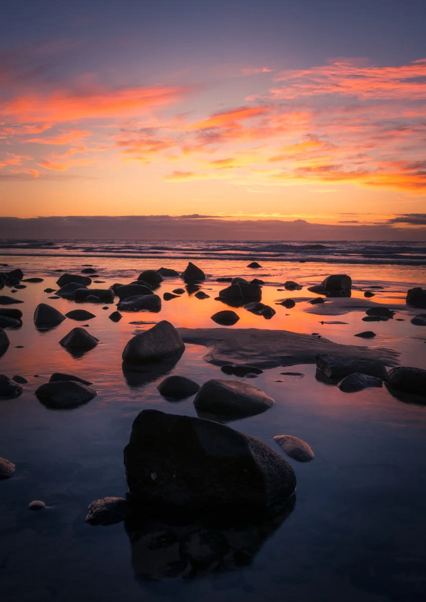 Violet - Elliott Heads, Queensland