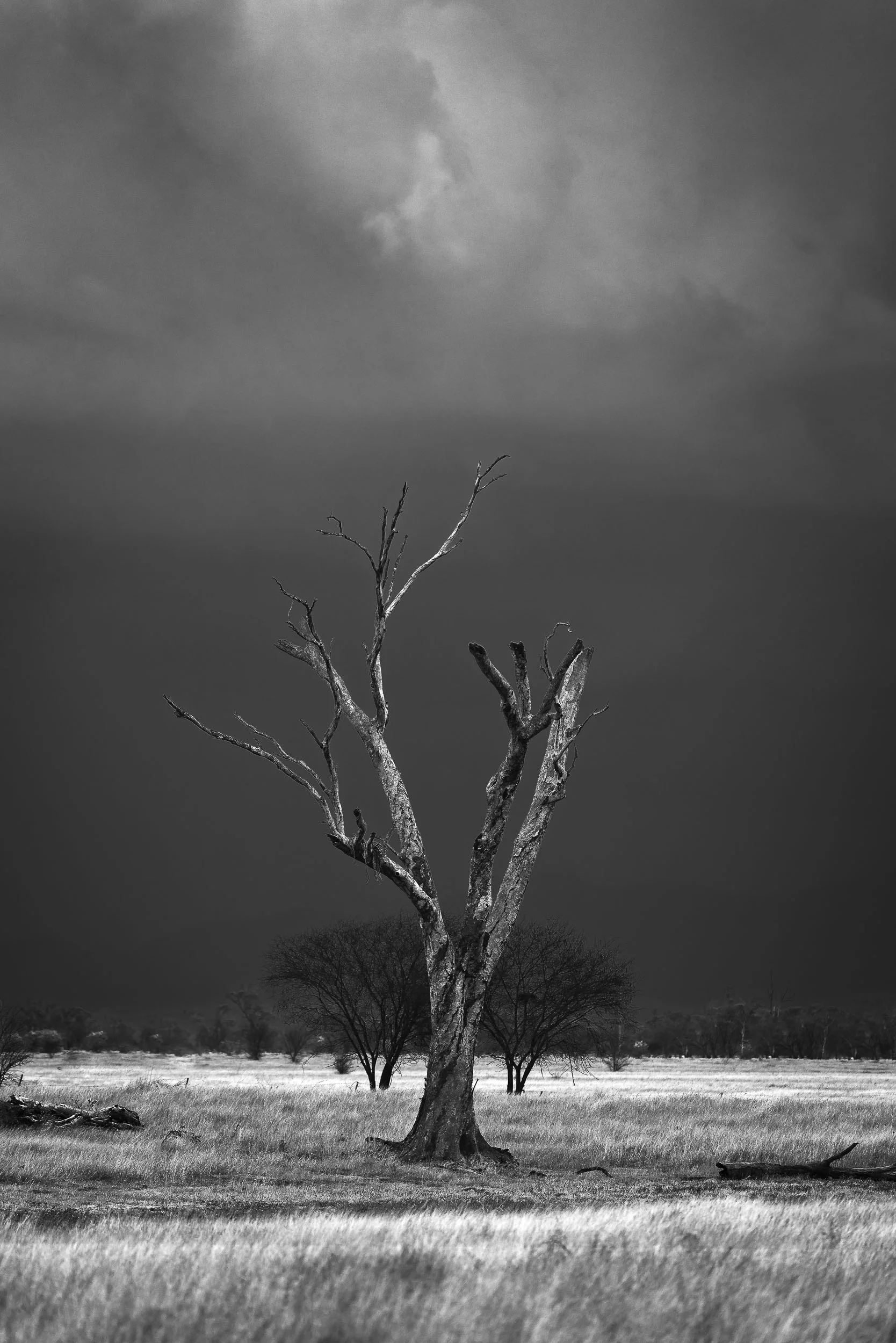 Balance & Drama - Port Curtis, Rockhampton - Queensland