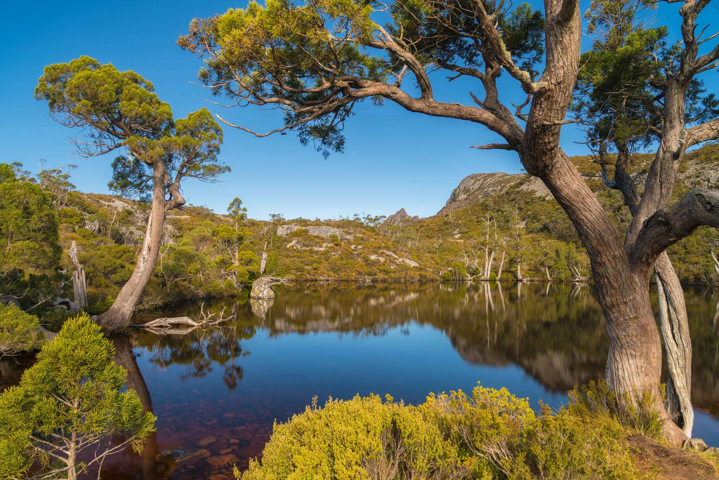Wombat Pool, Cradle Mountain - Tasmania