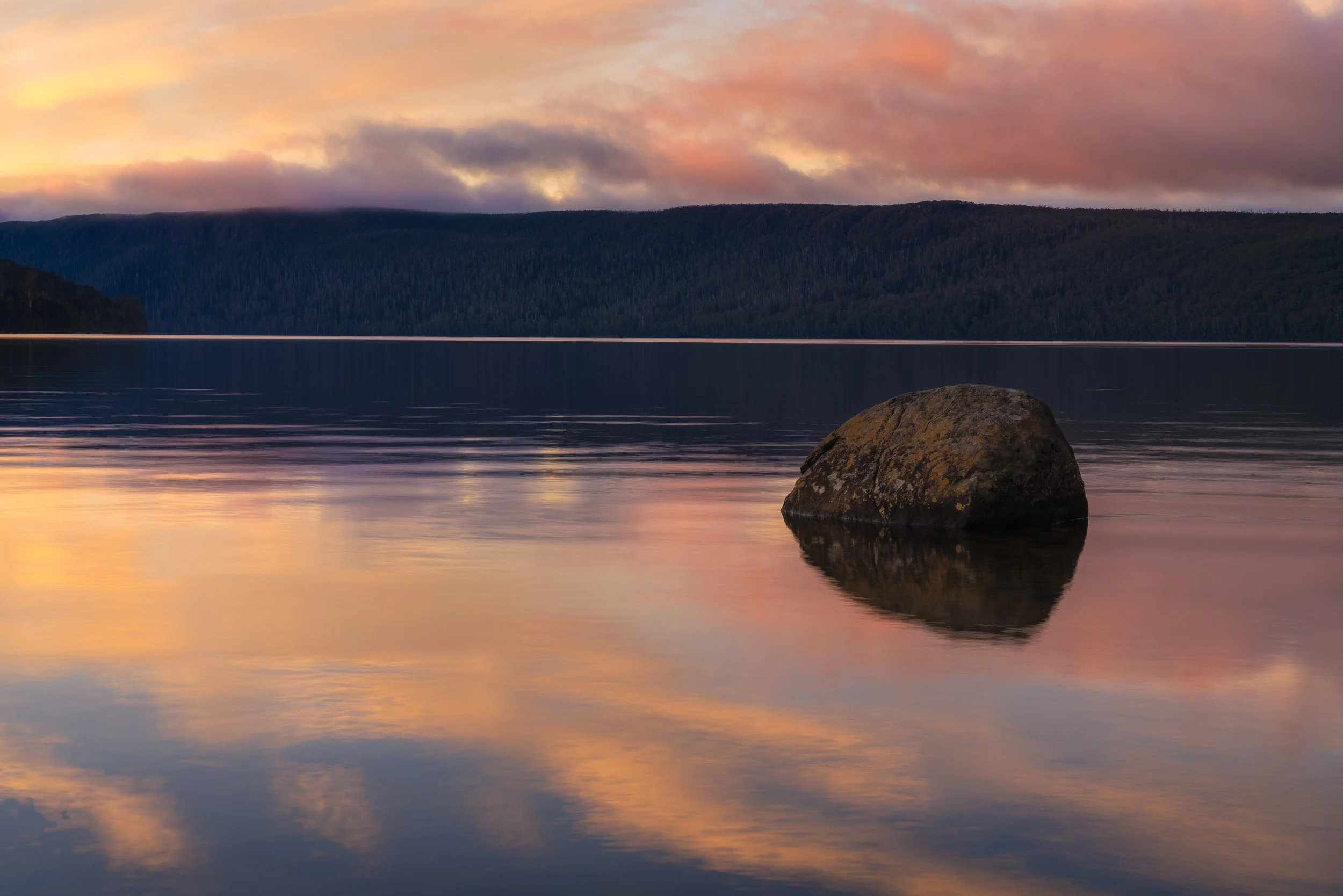 _DSC7935-Edit.jpg