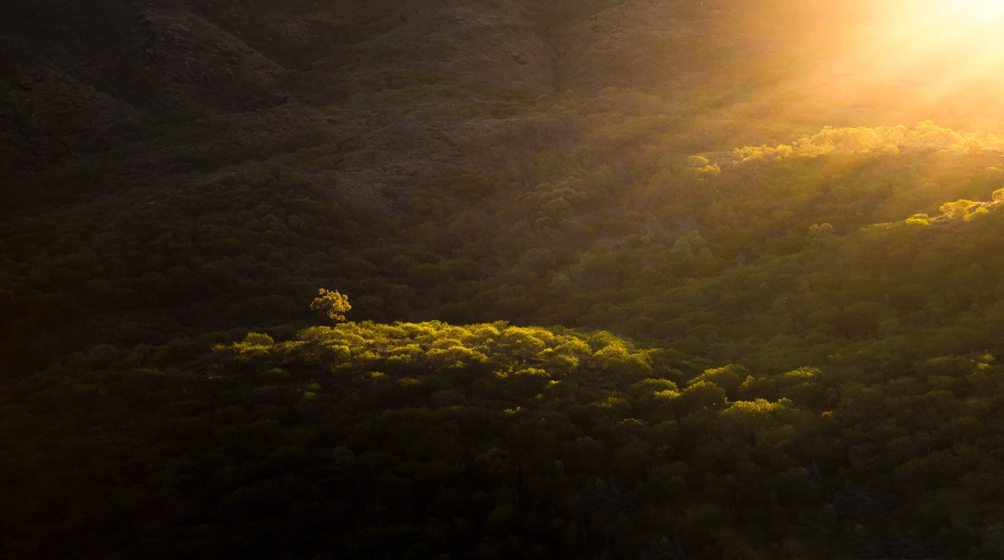 Queensland National Parks Image Collection