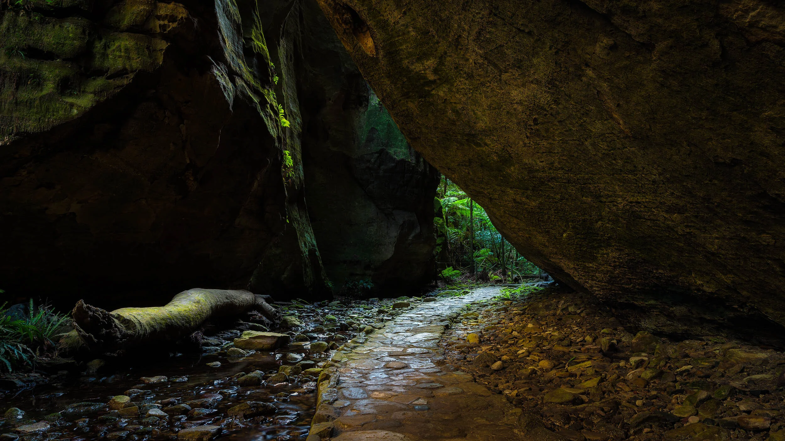 Ward's Canyon - Carnarvon Gorge