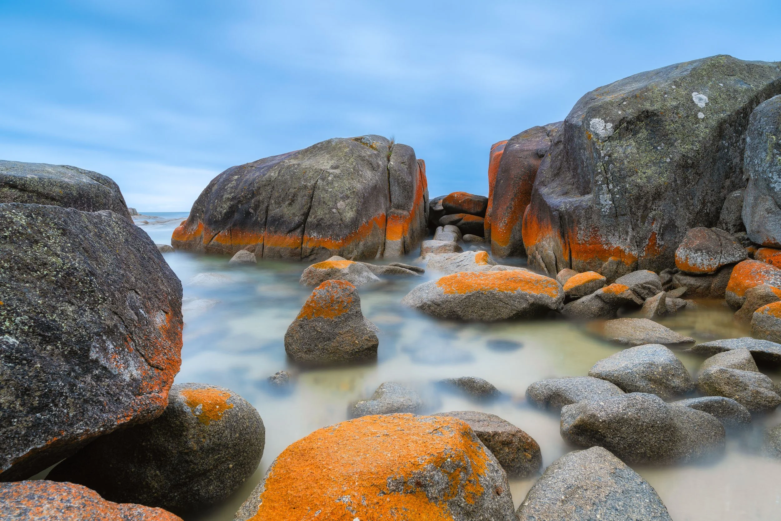_DSC1297-Edit.jpg
