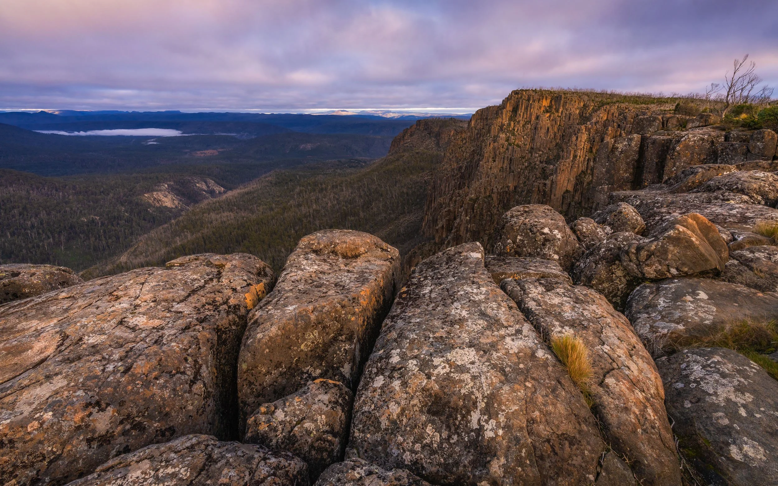 _DSC2499-Edit.jpg