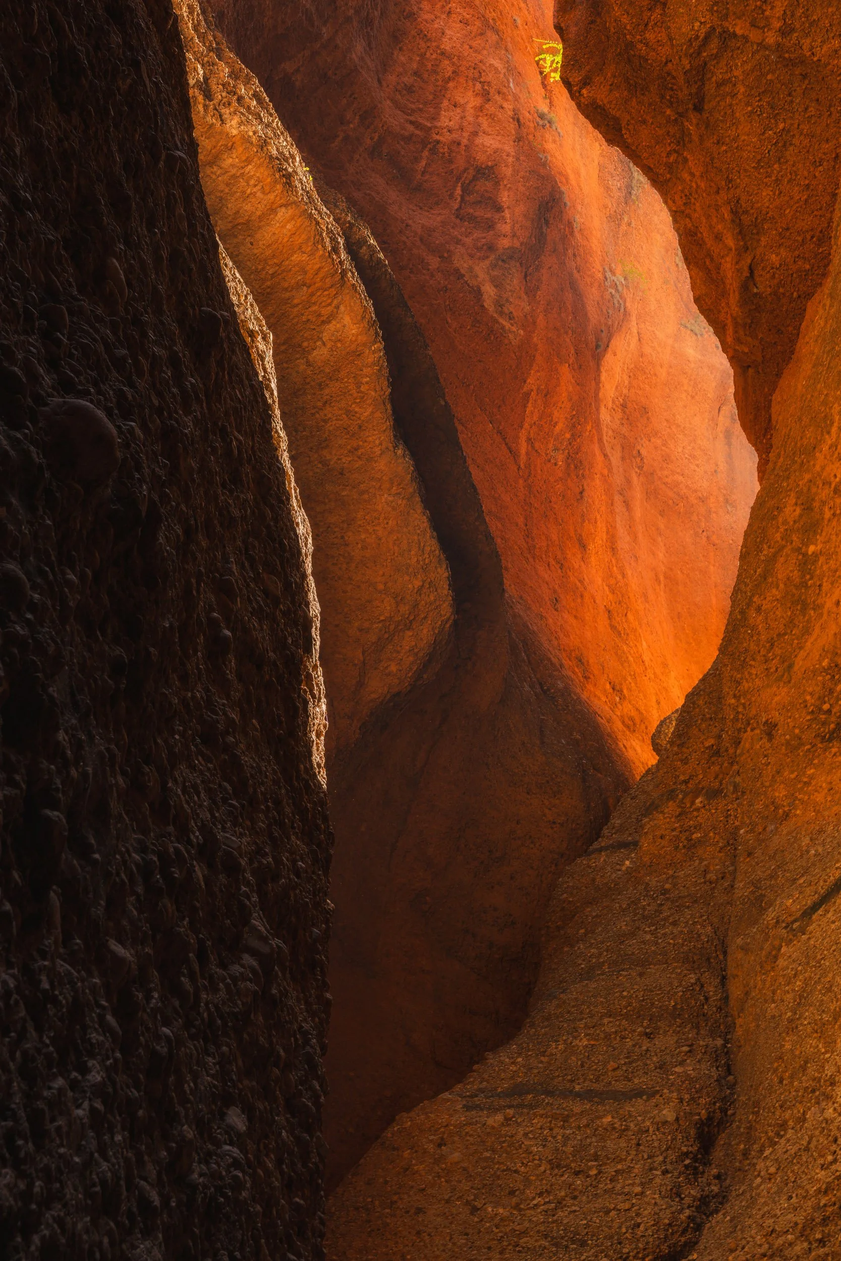 _DSC6181-HDR-2-Edit.jpg