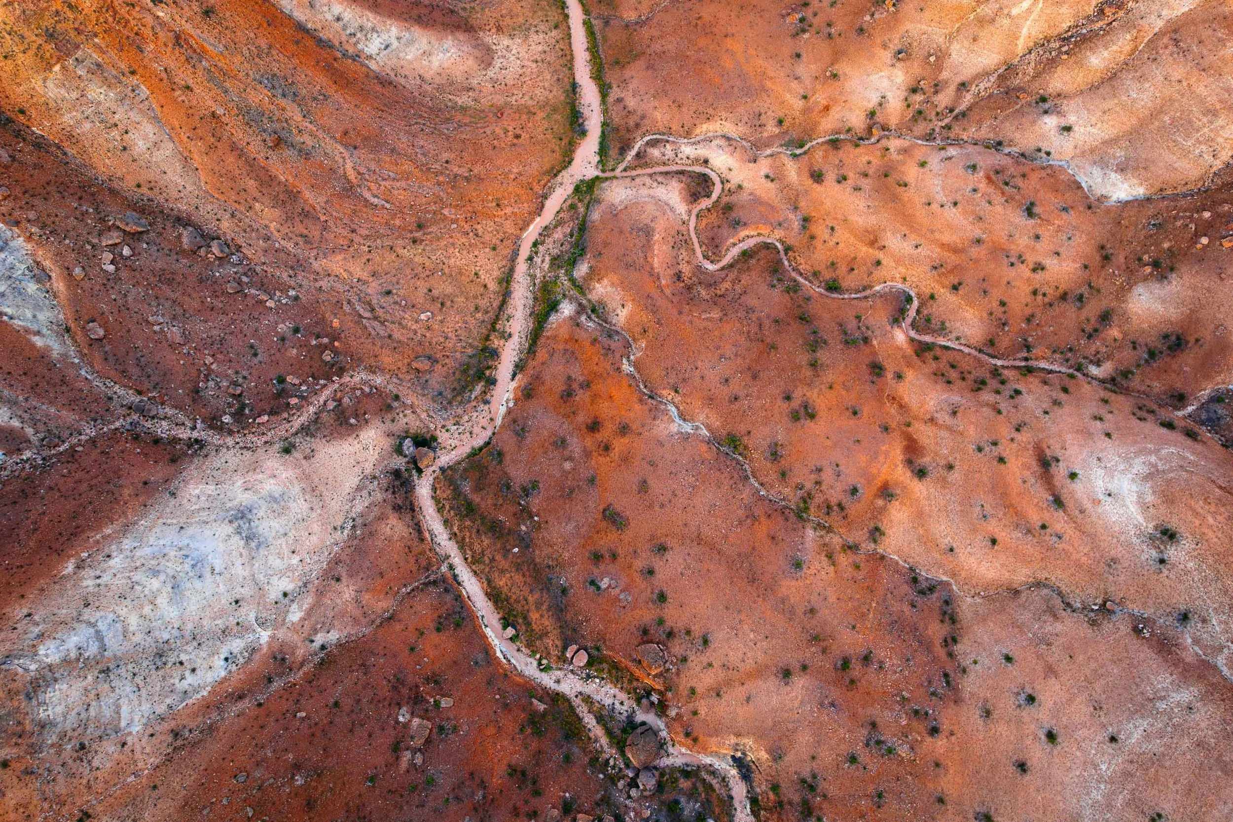 DJI_0094-Enhanced-NR.jpg