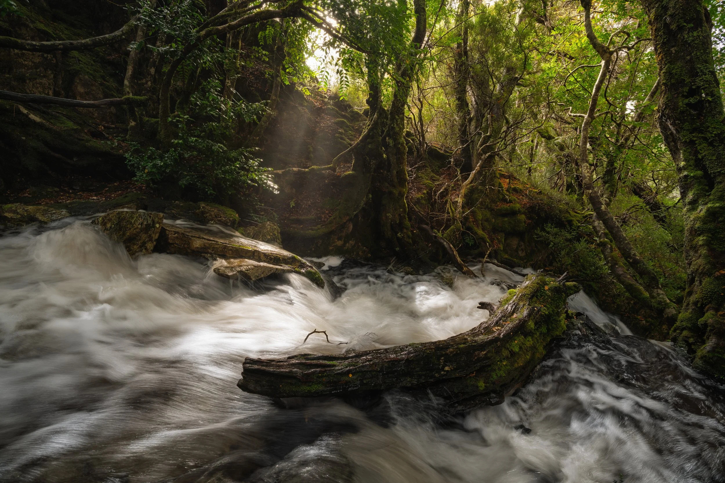 _DSC6545-Edit.jpg