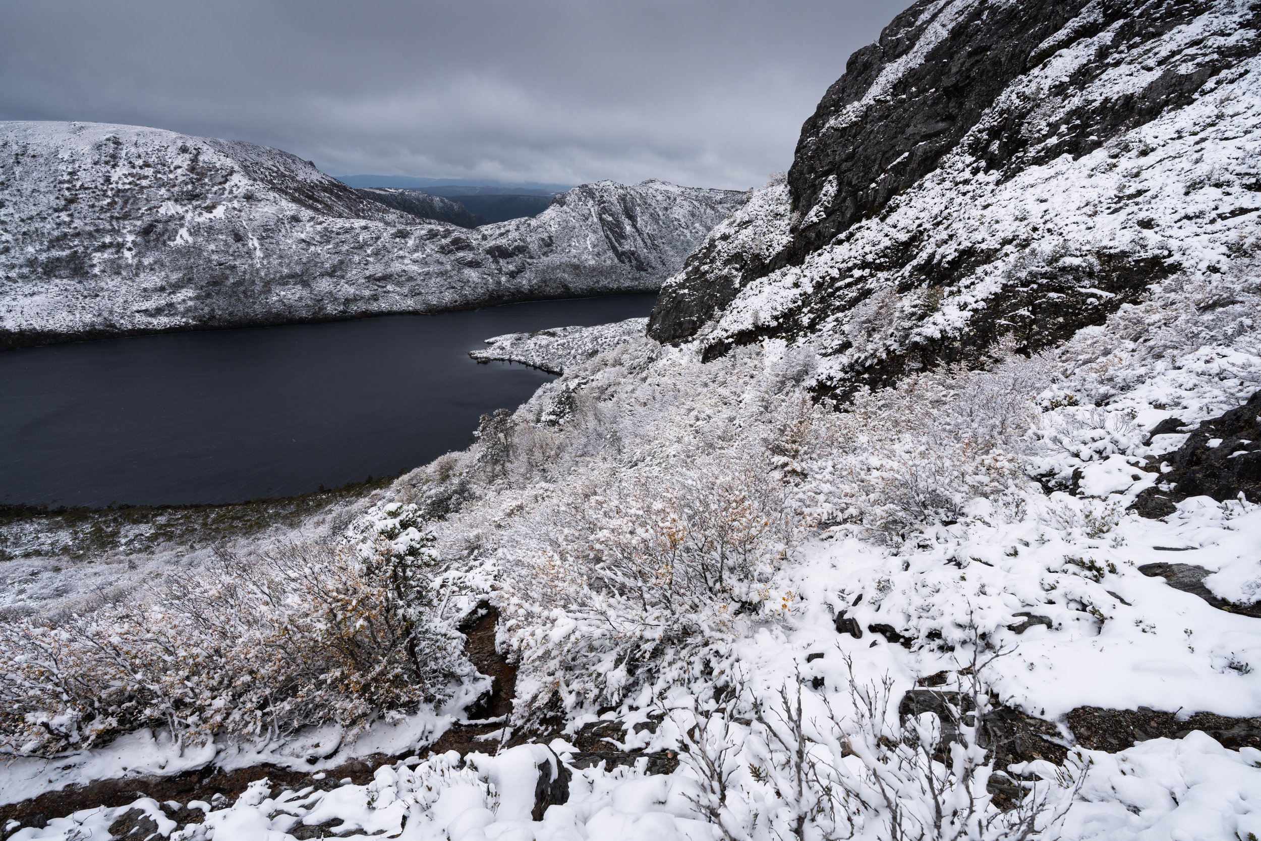 _DSC6435.jpg