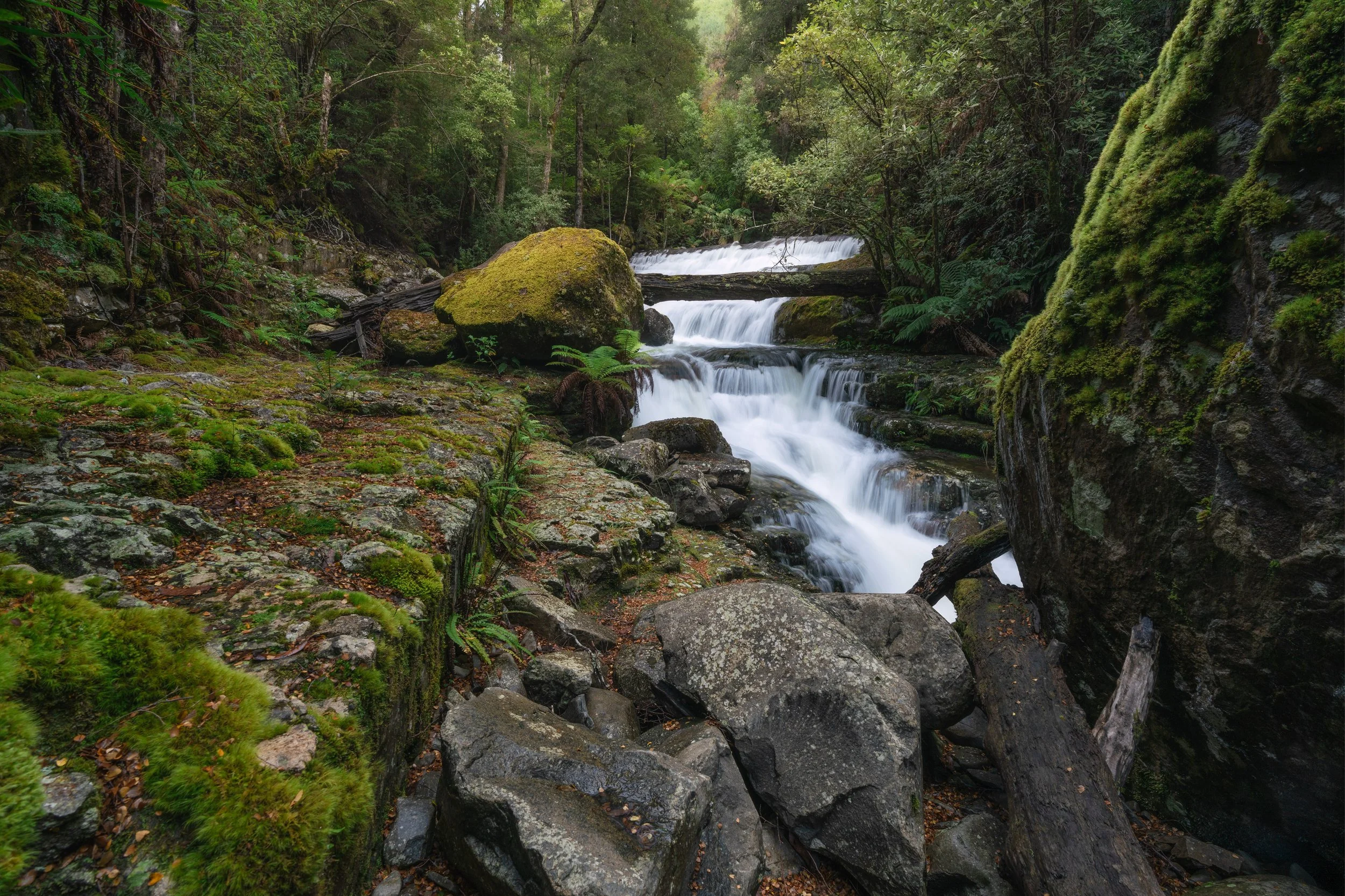 _DSC6047-Edit.jpg