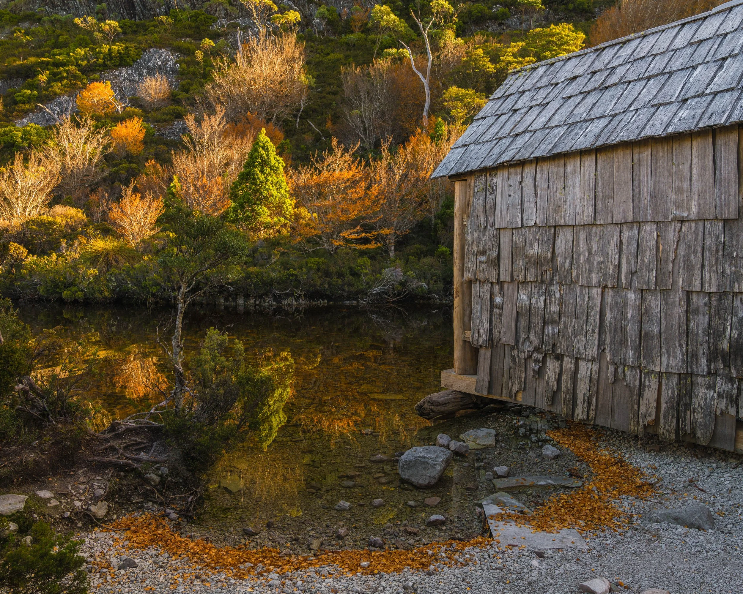 _DSC7554-Edit-Edit.jpg