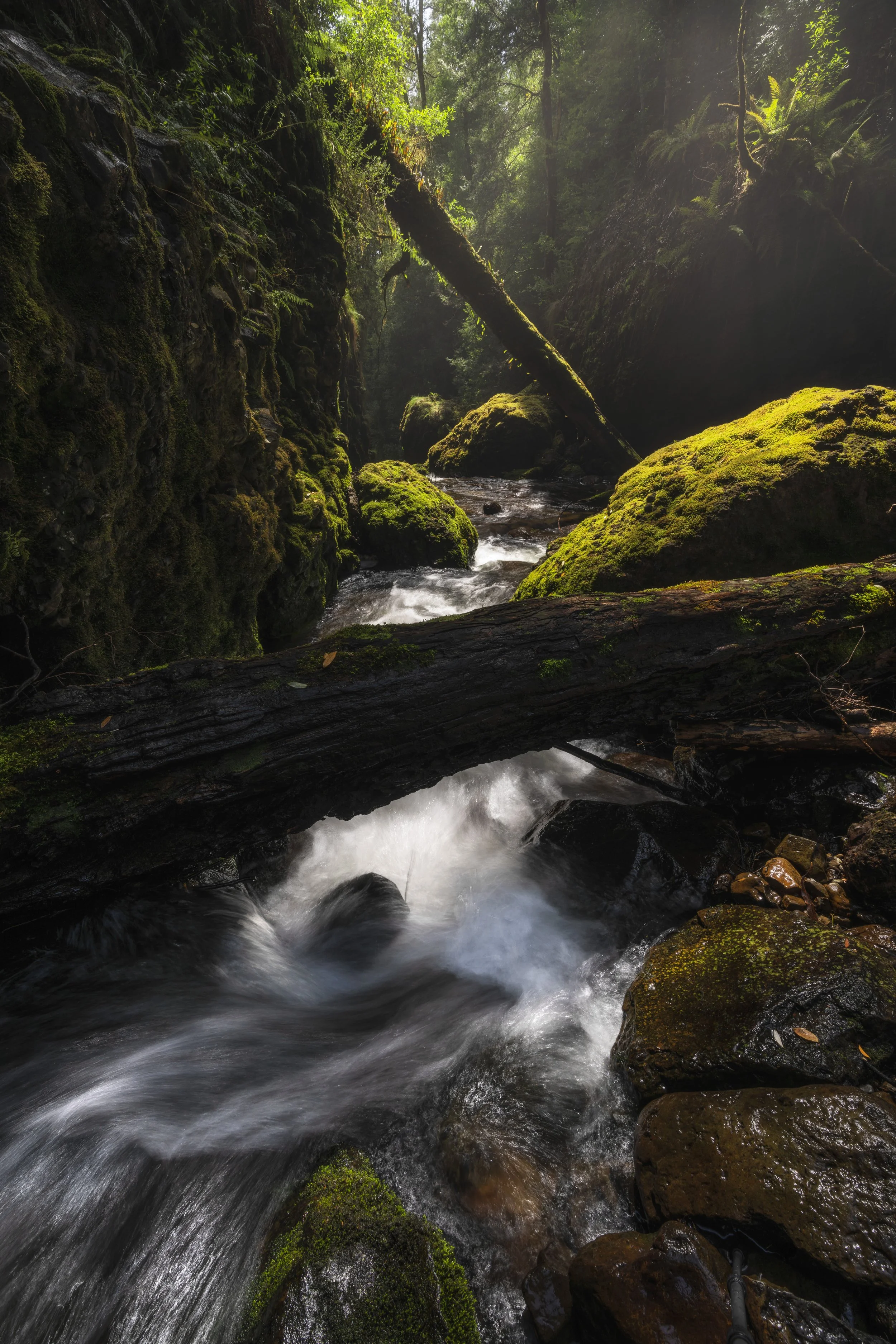 _DSC3095-Edit.jpg