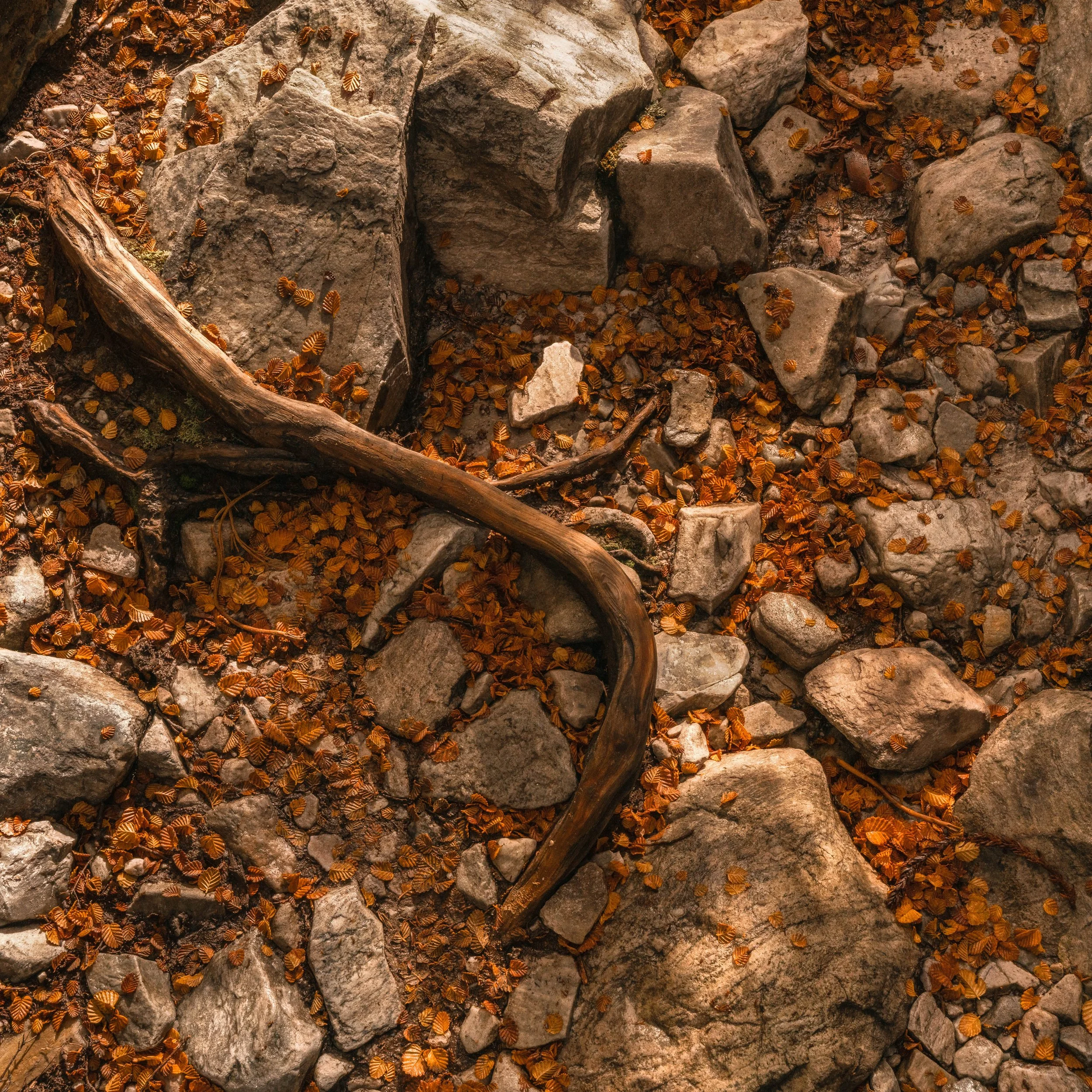 _DSC1898-Edit.jpg