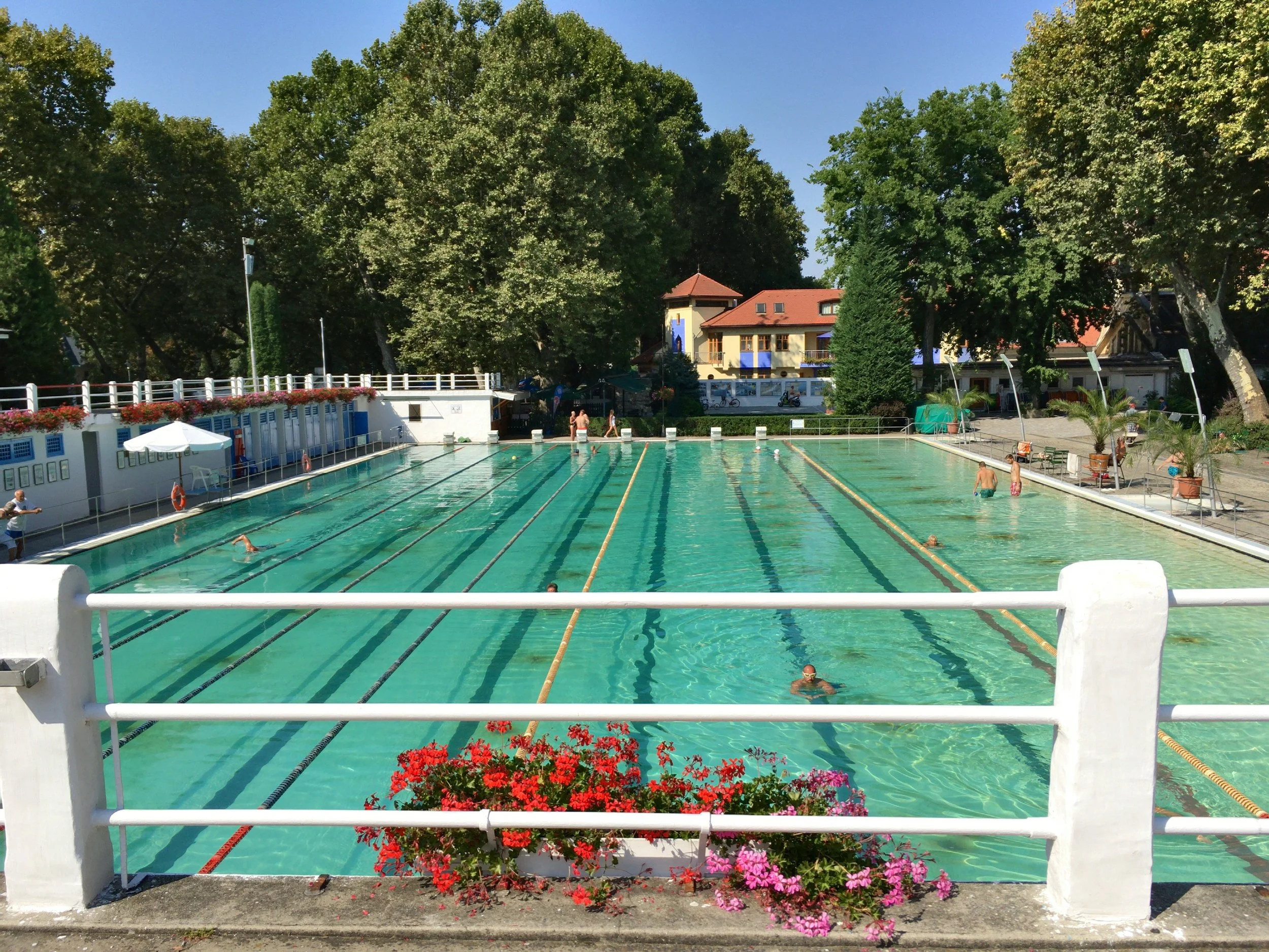 Another fabulous place to be entertained is at a public pool. This however, is no oridnary complex, it's a beautifully maintained historic pool in Esztergom, Hungary, where can you still get to witness classic high-cut white Speedos on old men.