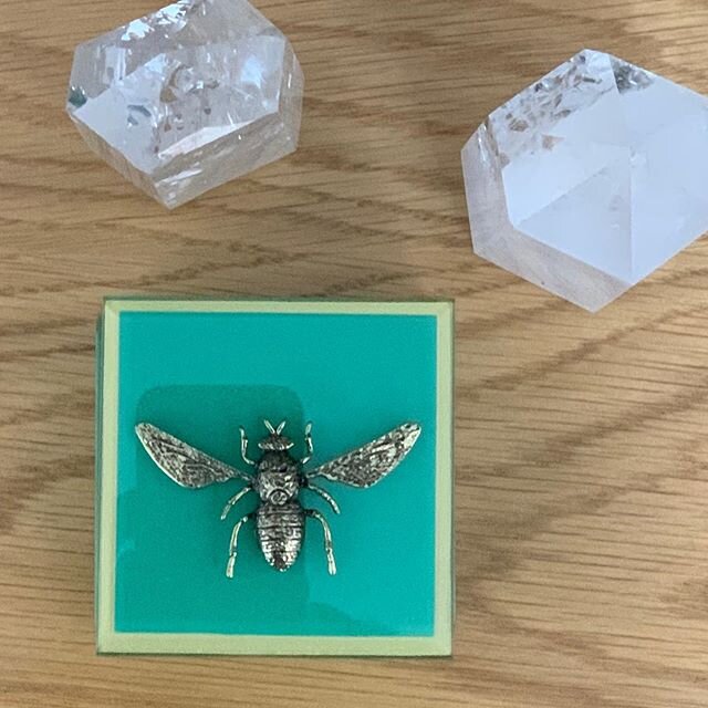 Love finding treasures when you lest expect it!!! A wonderful green box 🐝.... #bee #decor #decoration #green #objects #interiordesign #home #lovedesign