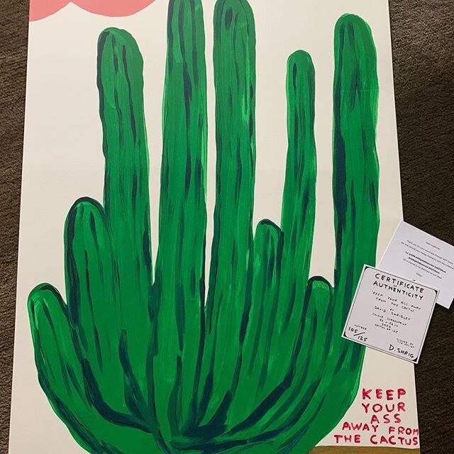 First Artwork by @davidshrigley Thank you @ddtstore &amp; @arr.allrightsreserved I love this cheeky artwork 😳 🌵 #davidshringley #ddstore #allrightsreserved #art #modernart #design #homedecor #interiordesign #style #instastyle