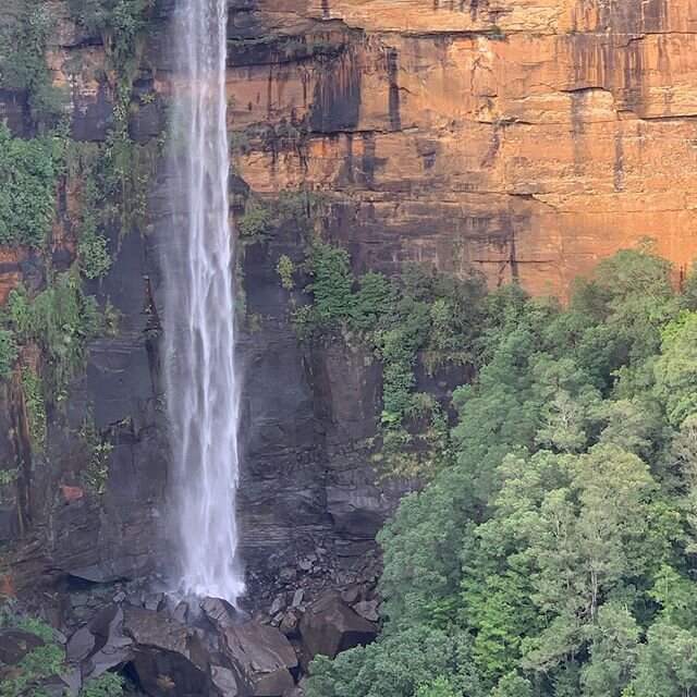 Fitzroy Falls! Wonderful &amp; Magical! 
Swipe 👉👉👉 🤩🤩🥰🥰
#fitzroyfalls #fitzroyfallsnsw #waterfall #nature #nationalparks #nsw #australia #wonderful_places #nomad #travel #weekendvibes