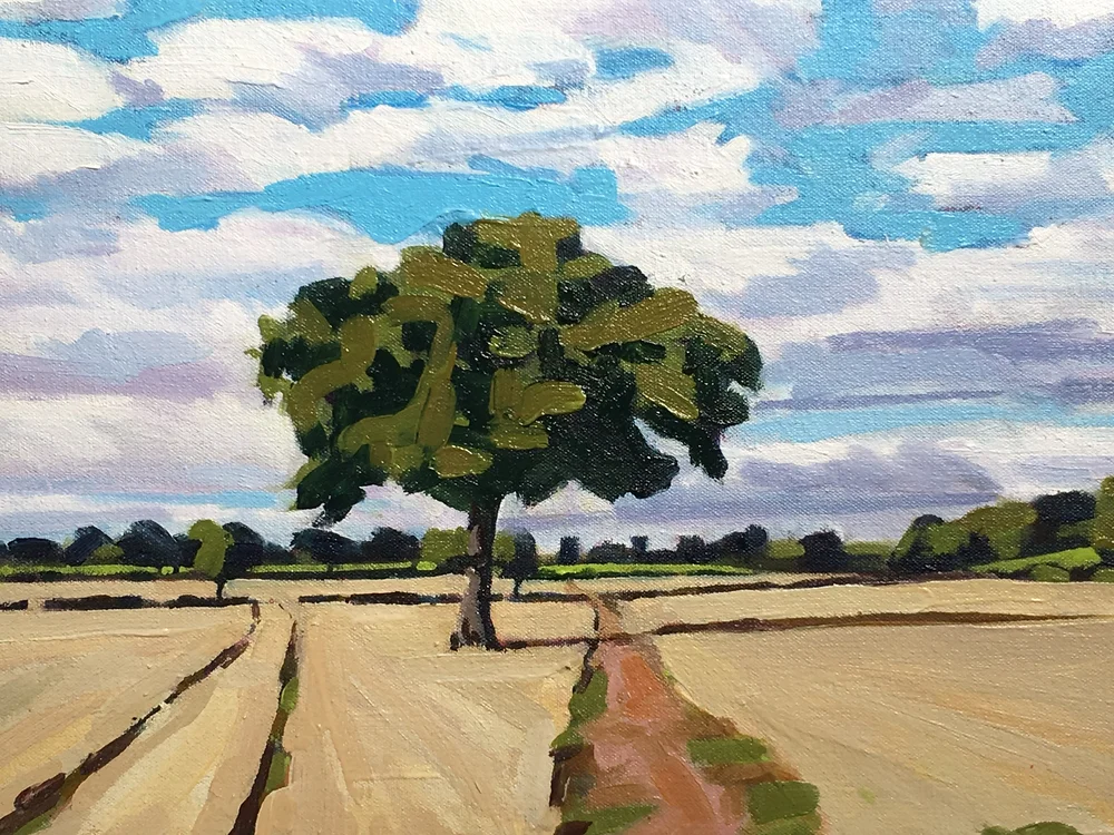 Big tree on the dog walk, Repton, Derbyshire