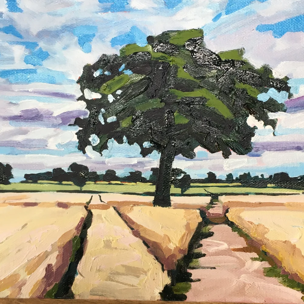 Big tree on the dog walk, Repton, Derbyshire