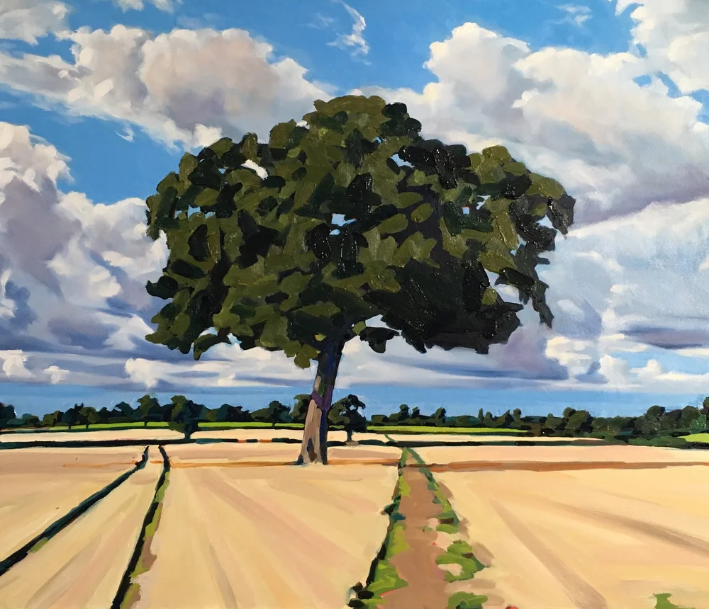 Big tree on the dog walk, Repton, Derbyshire