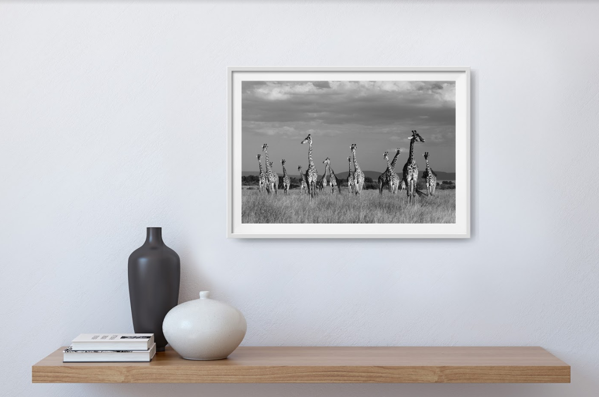 Fine Art Photography | Wildlife | Buy Artwork Online