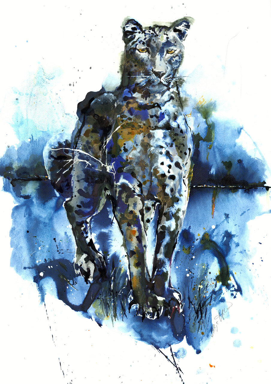 Animal artists we work with Animal artists we work with