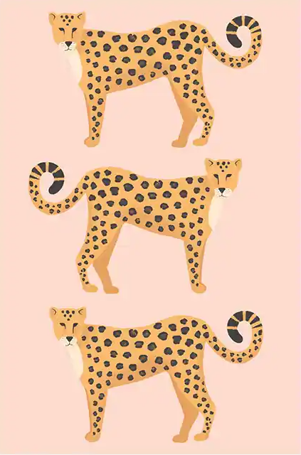 Kids Posters | Three Leopards