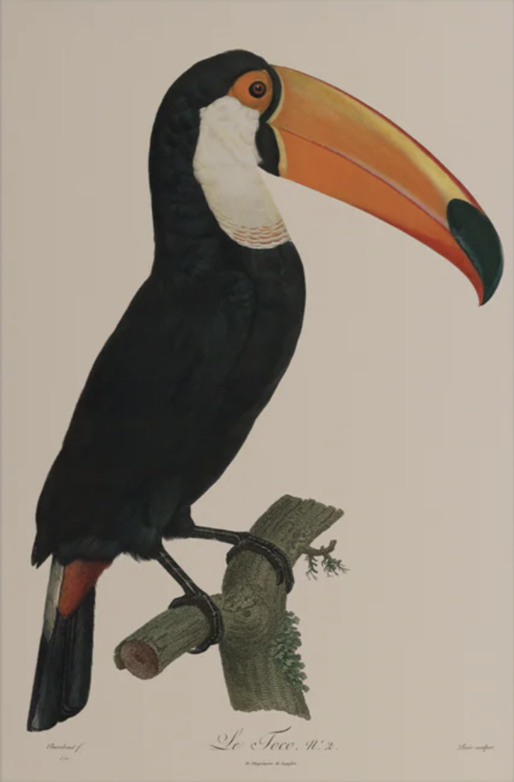 Screenshot 2026-03-05 at 11.35.18.png