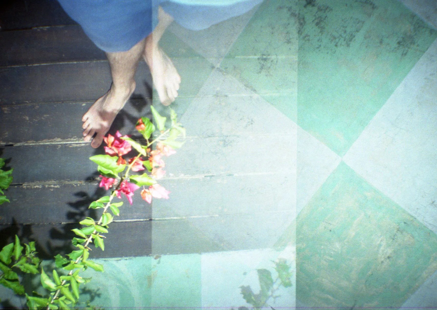 Lomo_Sri_Lanka_Füsse_Blumen.jpg