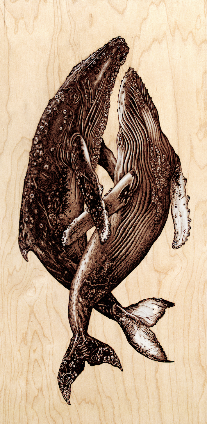 Two Humpbacks - Small.png