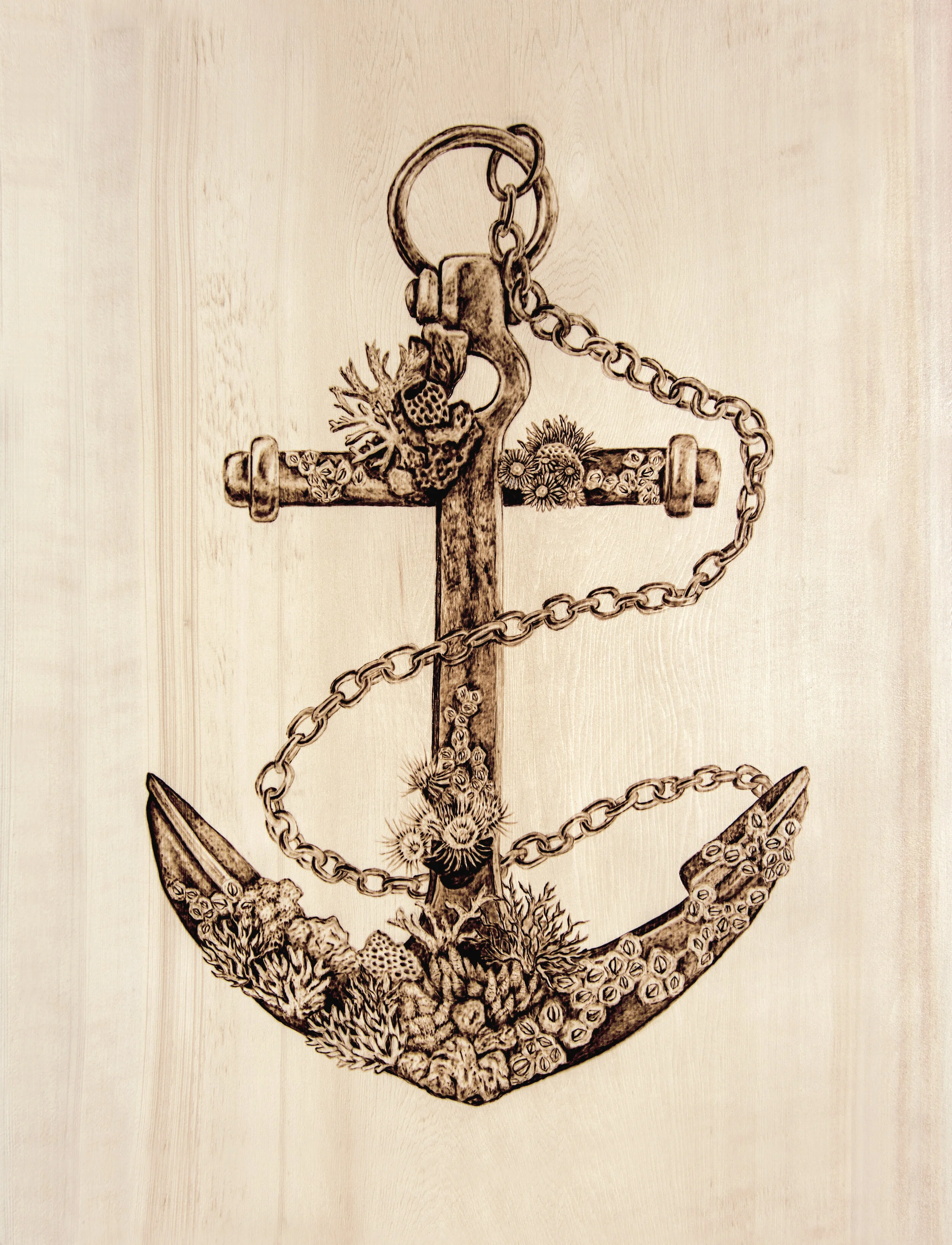 Print-Anchor colour corrected.jpg